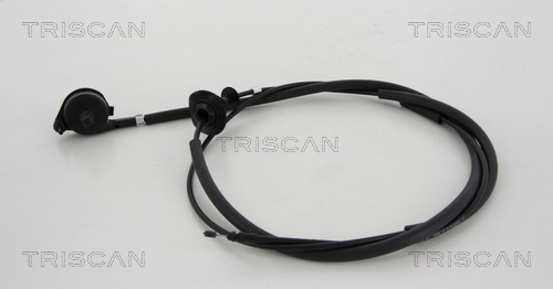 TRISCAN Tross, kapott 8140 25604
