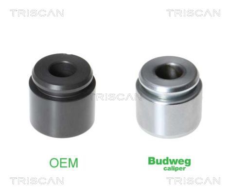 TRISCAN stūmoklis, stabdžių apkaba 8170 233424