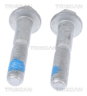 TRISCAN Remondikomplekt, vedrustus 8500 10402