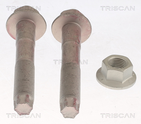 TRISCAN Remondikomplekt, vedrustus 8500 13401