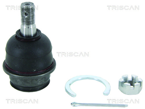 TRISCAN Šarniir 8500 13552