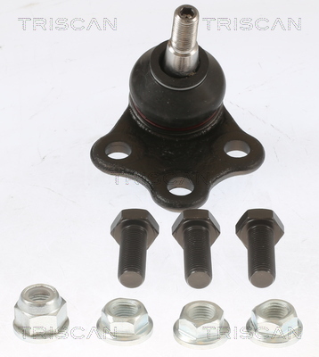 TRISCAN Šarniir 8500 255010