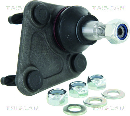 TRISCAN Šarniir 8500 295010