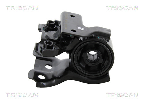 TRISCAN Puks, õõtshoob 8500 40811