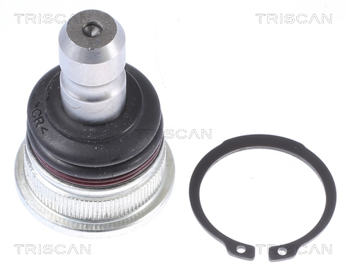TRISCAN Šarniir 8500 435057