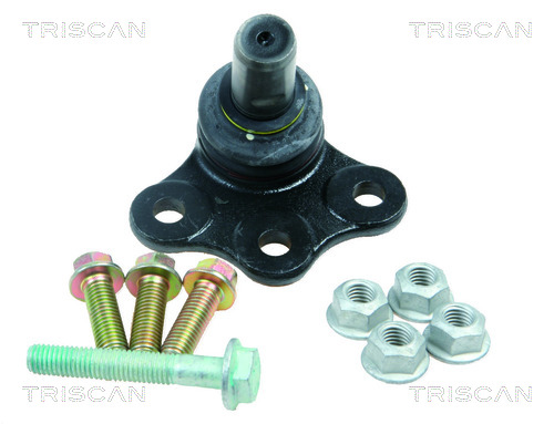TRISCAN Šarniir 8500 65521