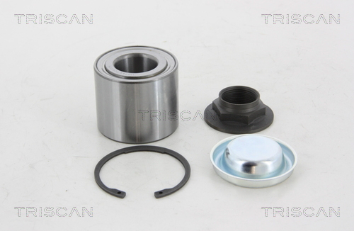 TRISCAN Rattalaagrikomplekt 8530 10276