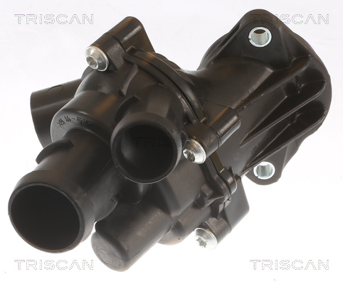 TRISCAN termostatas, aušinimo skystis 8620 29101
