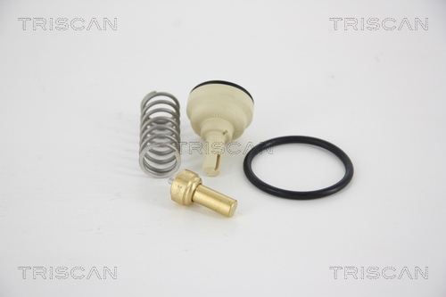 TRISCAN termostatas, aušinimo skystis 8620 34487