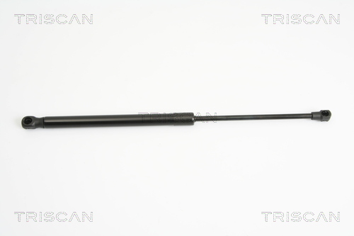 TRISCAN Kaasujousi, tavaratila 8710 13274