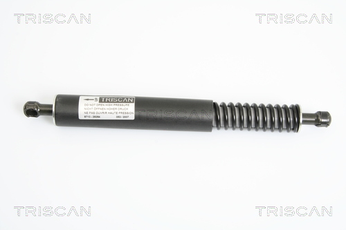 TRISCAN dujinė spyruoklė, bagažinė 8710 29264