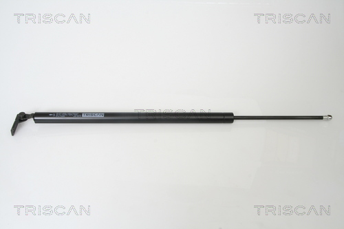 TRISCAN Gaasivedru, pagasi-/veoruum 8710 43220