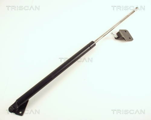 TRISCAN Gaasivedru, pagasi-/veoruum 8710 50218