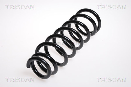 TRISCAN Jousi (auton jousitus) 8750 13124
