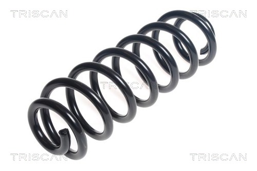 TRISCAN spyruoklė 8750 29391