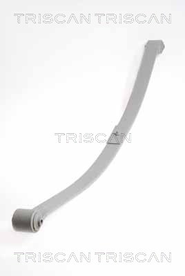 TRISCAN lingės paketas 8765 29020