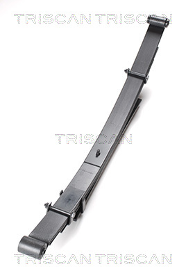 TRISCAN Bladfjäderpaket 8765 42009