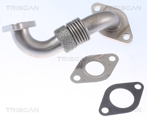 TRISCAN vamzdis, EGR vožtuvas 8811 29100
