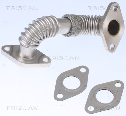 TRISCAN vamzdis, EGR vožtuvas 8811 29101