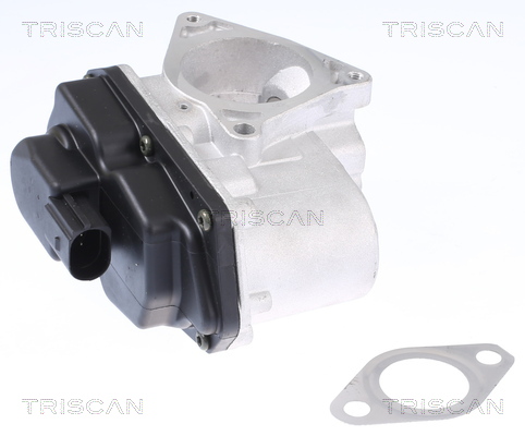 TRISCAN EGR-klapp 8813 29003