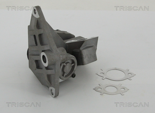 TRISCAN ERG vožtuvas 8813 29047