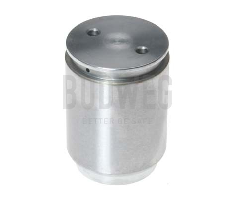 BUDWEG CALIPER Kolb, pidurisadul 233621