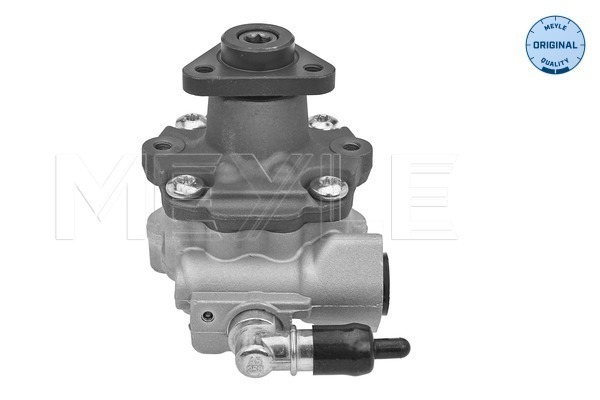 MEYLE Hydrauliikkapumppu, ohjaus 114 631 0048
