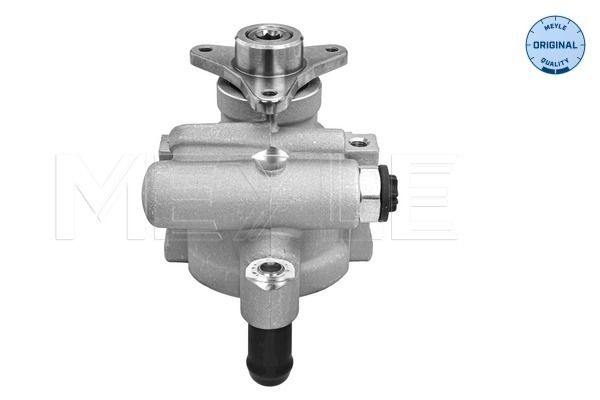 MEYLE Roolivõimendi pump 16-16 631 0006