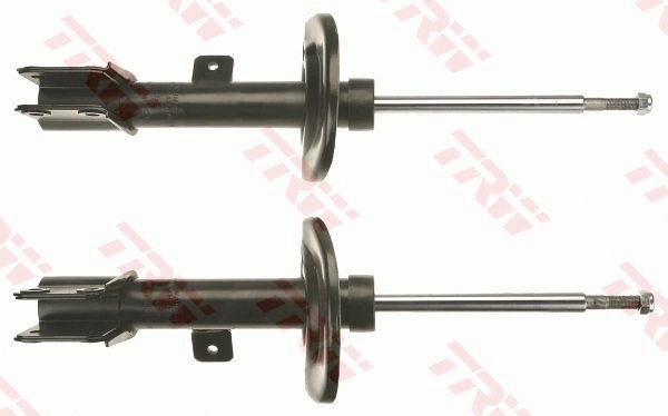TRW Amortisaator JGM1087T