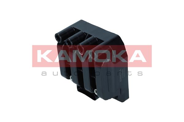 KAMOKA ritė, uždegimas 7120020