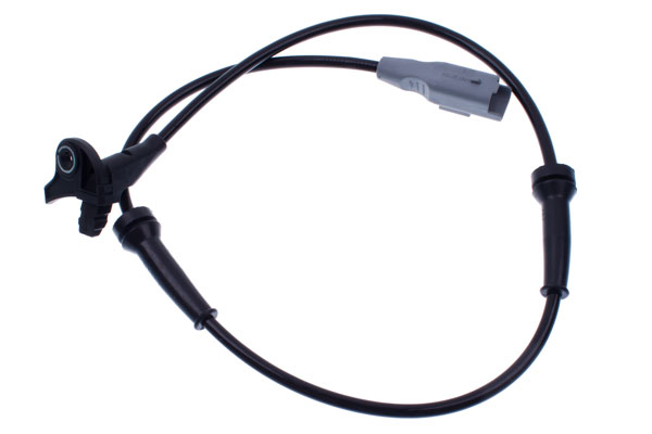 DENCKERMANN Andur, rattapöörete arv B180098
