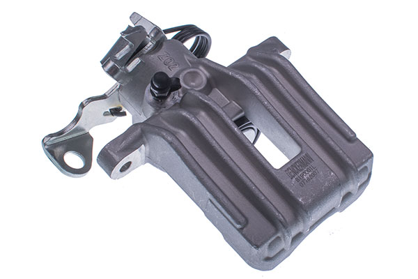 DENCKERMANN Jarrusatula B190001L