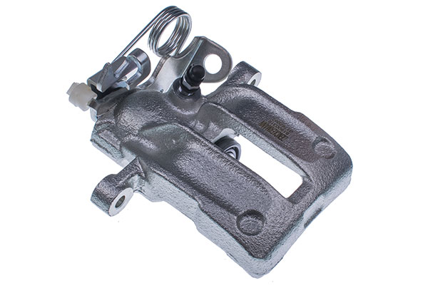 DENCKERMANN Jarrusatula B190031R