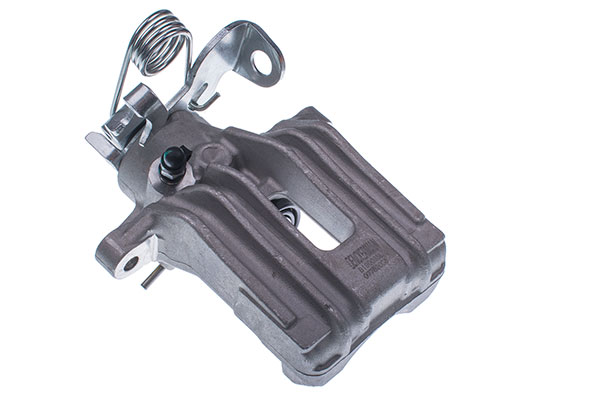 DENCKERMANN Jarrusatula B190035L