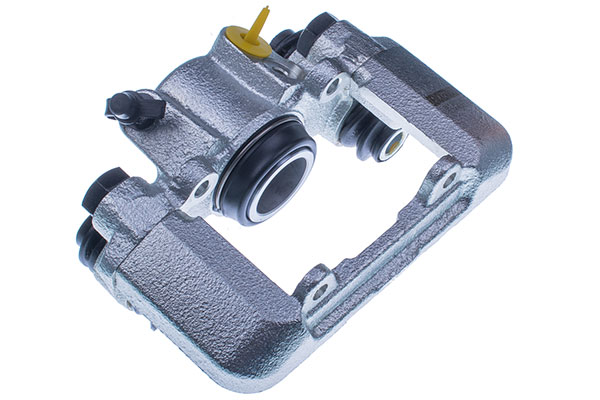 DENCKERMANN Jarrusatula B190089L