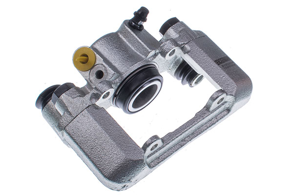 DENCKERMANN Jarrusatula B190089R