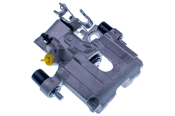 DENCKERMANN Jarrusatula B190158L