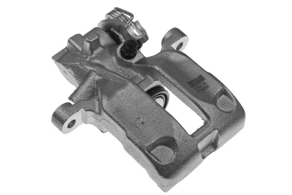 DENCKERMANN Jarrusatula B190272R