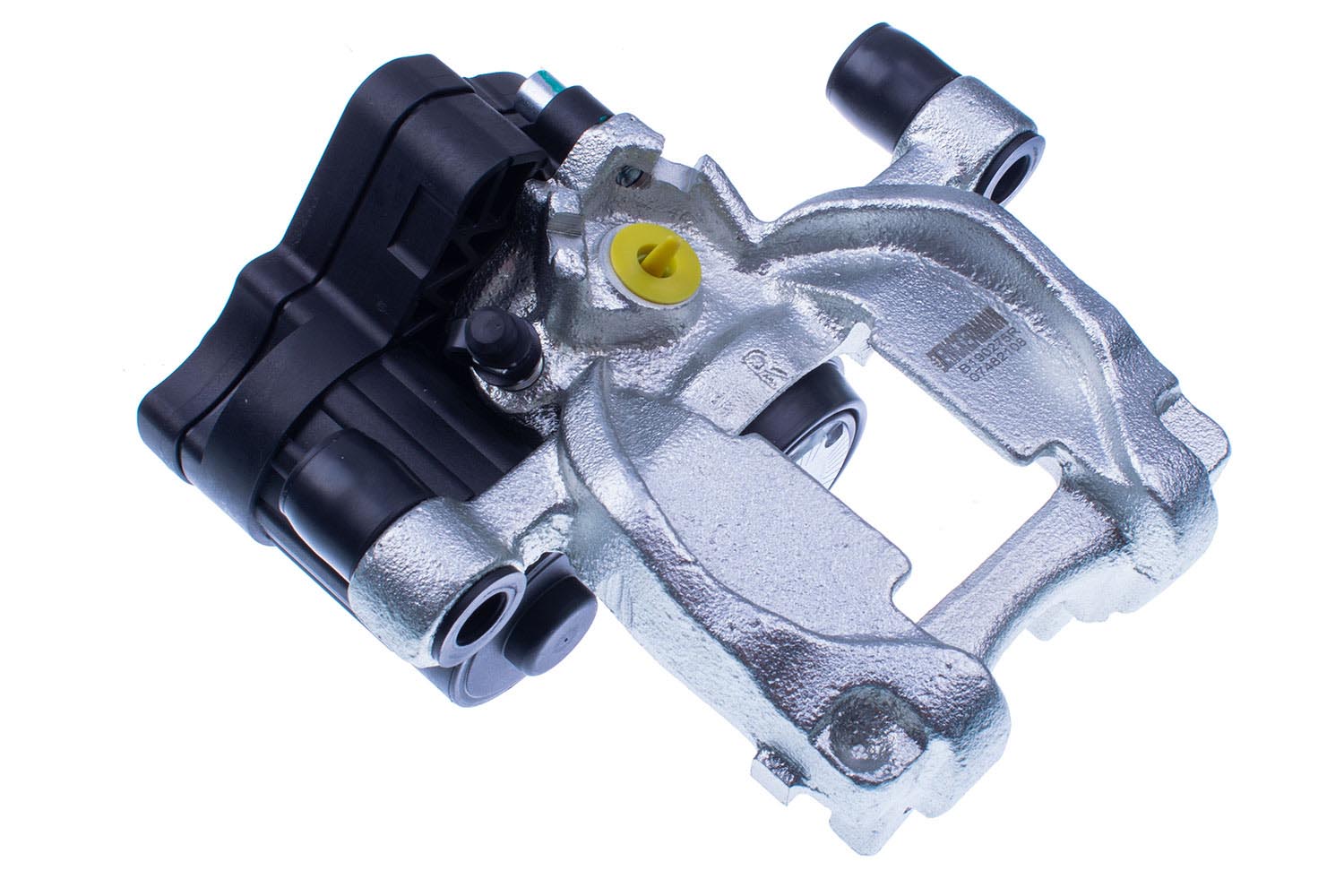DENCKERMANN Jarrusatula B190275R