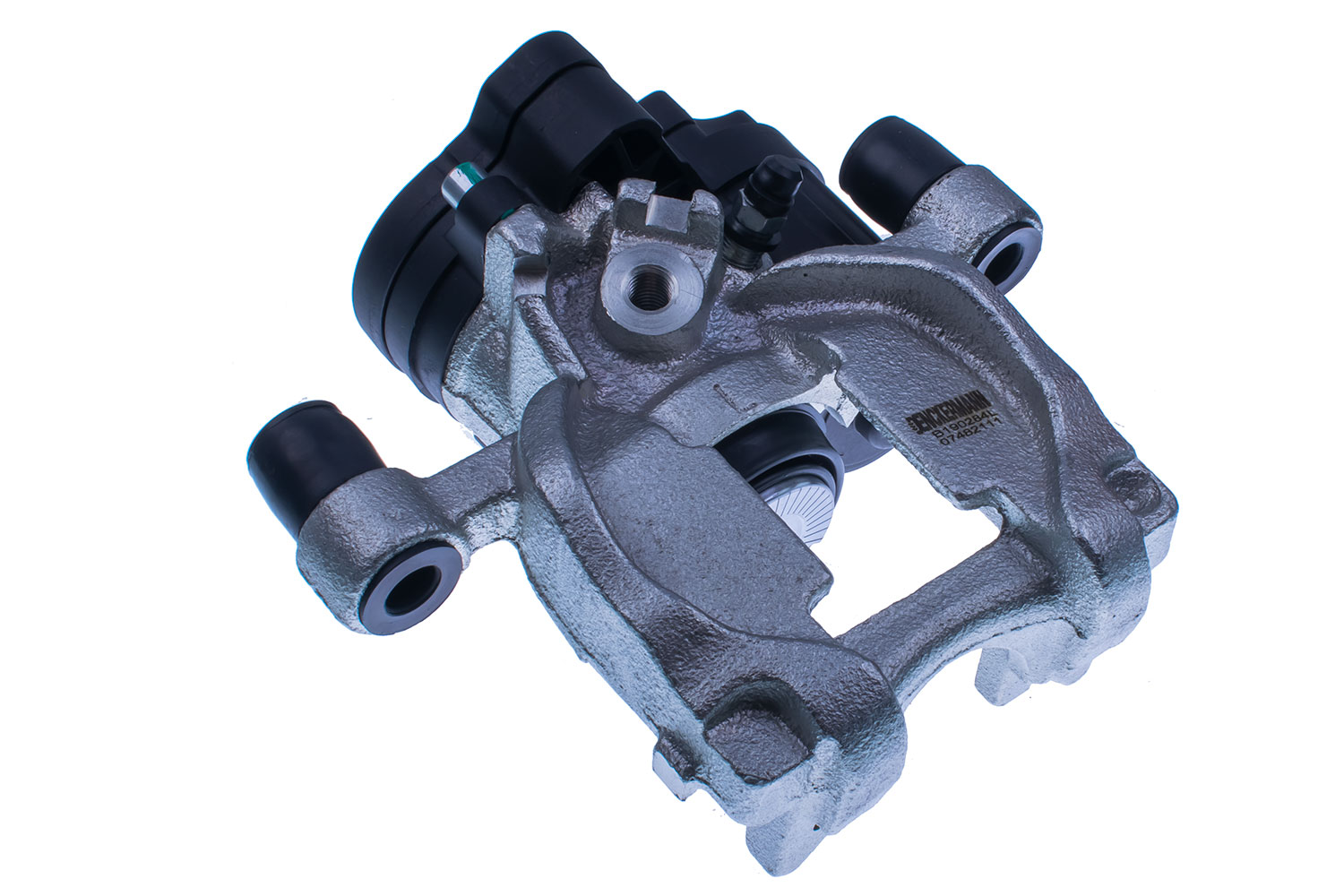 DENCKERMANN Jarrusatula B190284L