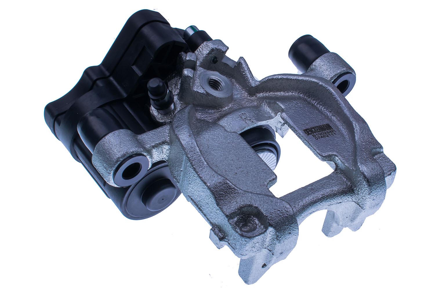 DENCKERMANN Jarrusatula B190284R