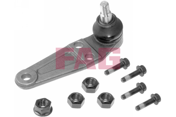 Schaeffler FAG Šarniir 825 0216 10