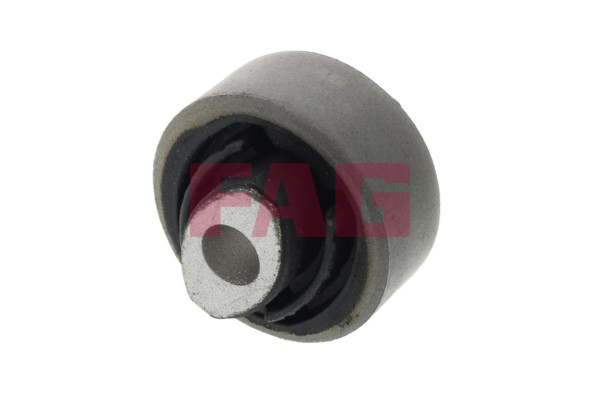 Schaeffler FAG Puks, õõtshoob 829 0161 10