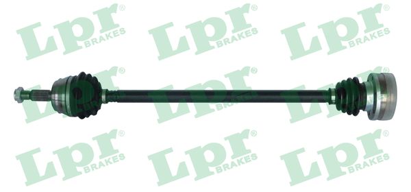 LPR pusašis DS51006