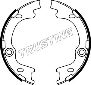 TRUSTING Bromsbackar, sats, parkeringsbroms 046.221
