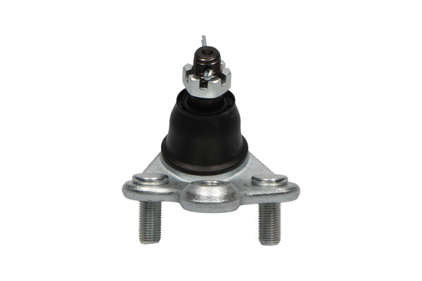 KAVO PARTS Šarniir SBJ-2029