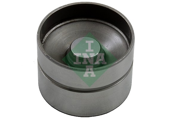 Schaeffler INA svirtis/kumštelis 420 0040 10