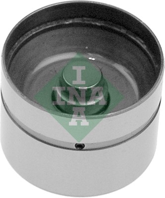 Schaeffler INA Hüdrotõukur 420 0049 10