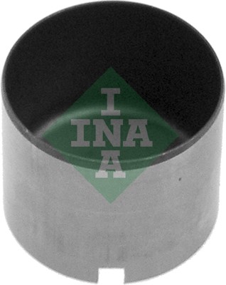 Schaeffler INA Hüdrotõukur 420 0089 10