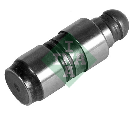 Schaeffler INA Hüdrotõukur 420 0230 10